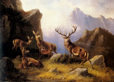 Deer In A Mountainous Landscape