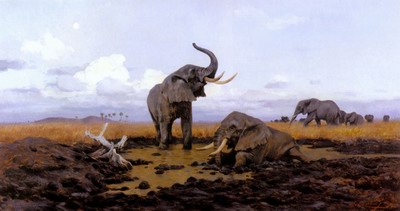 In The Twilgiht, Elephants