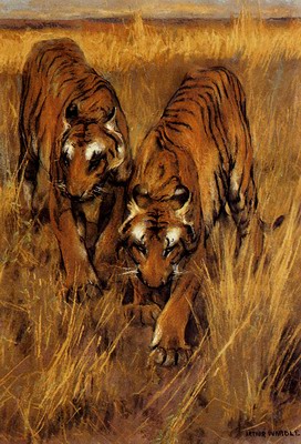 Tigers