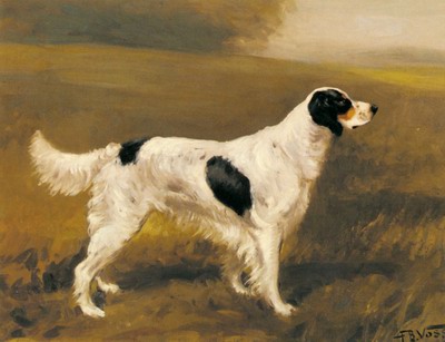 A Setter