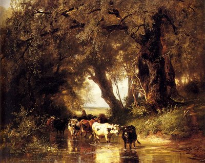 Cattle Watering