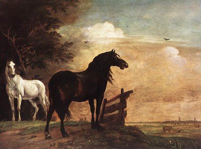 Horses In A Field