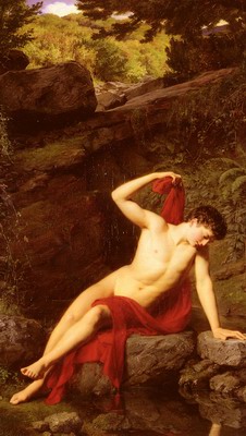 Narcissus