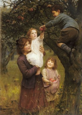 Picking Apples