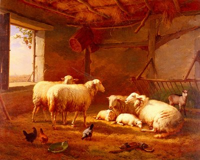 Sheep With Chickens And A Goat In A Barn