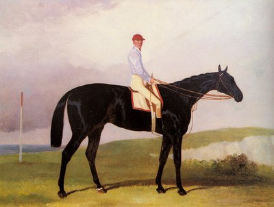 Ellinton, A Dark Bay Racehorse, With Tom Aldcroft Up