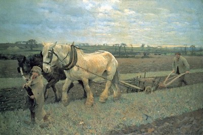 Ploughing