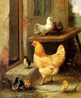 A Hen, Chicks And Pigeons