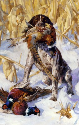 A Pointer And A Pheasant