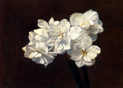 Bouquet De Narcisses, bouquet of narcissuses