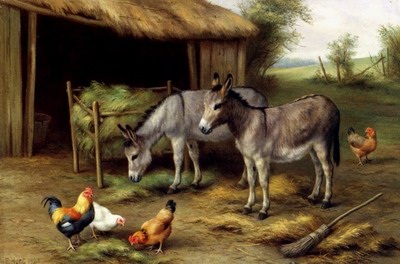 Donkeys And Poultry