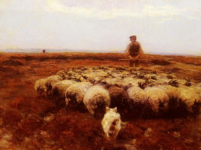 Schafhirte Auf Wiese, shepherd on the meadow