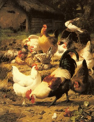 Poultry In A Farmyard