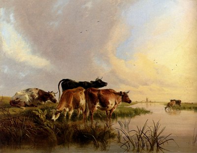 Cattle Watering