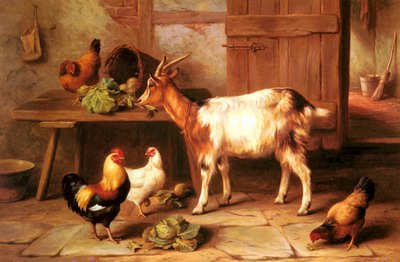 Goat And Chickens Feeding In A Cottage Interior