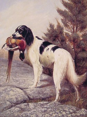 Hunting Dog With Pheasant