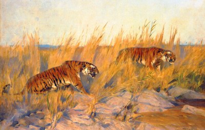 Tigers