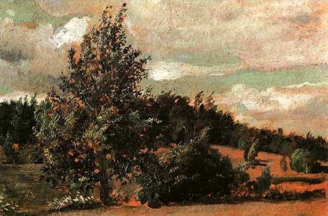 Landscape. Wind. 1907