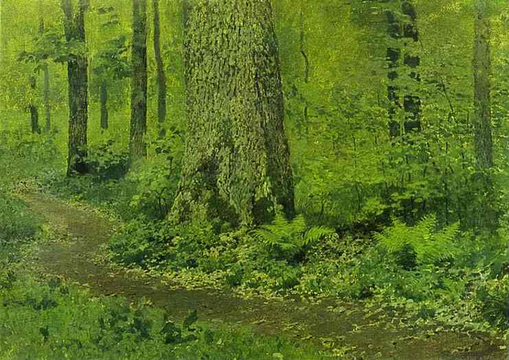 Footpath in a Forest, Ferns. About 1895