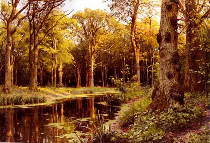 A Forest Stream, 1907