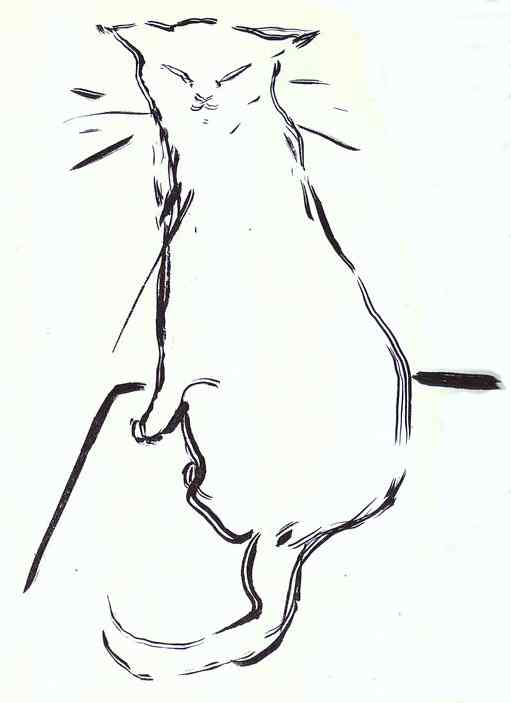 The Cat, brushwork drawing for Histoires naturelles.