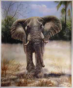 Oil painting for sale:elephant-013