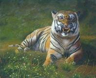 Oil painting for sale:tiger-004