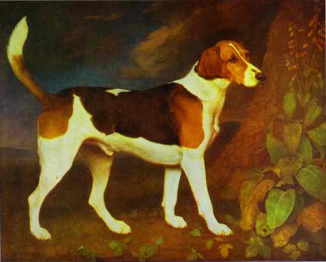 Oil painting:A Foxhound, Ringwod. 1792