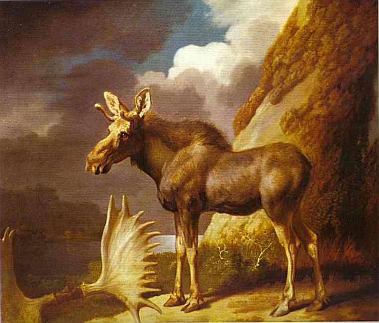 Oil painting:The Moose. 1770