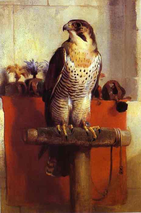 Oil painting:Falcon. 1837