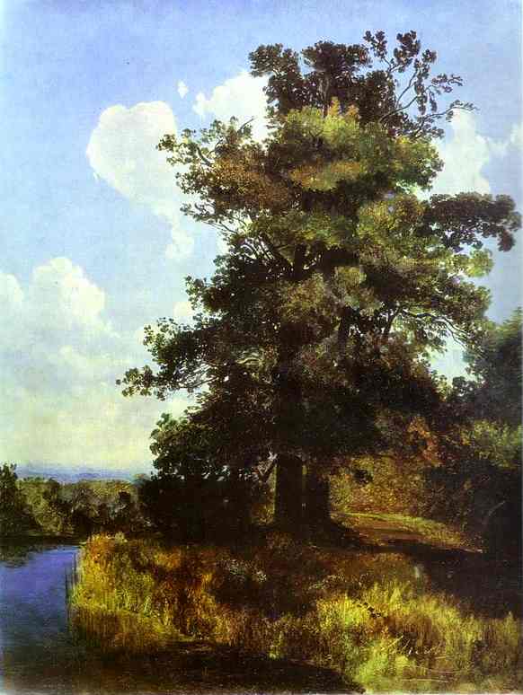Oil painting:Oaks. 1855