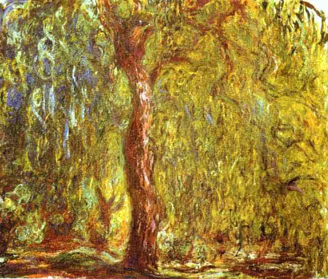 Weeping Willow 1919.