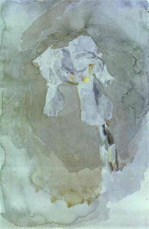 Oil painting:White Iris. 1886