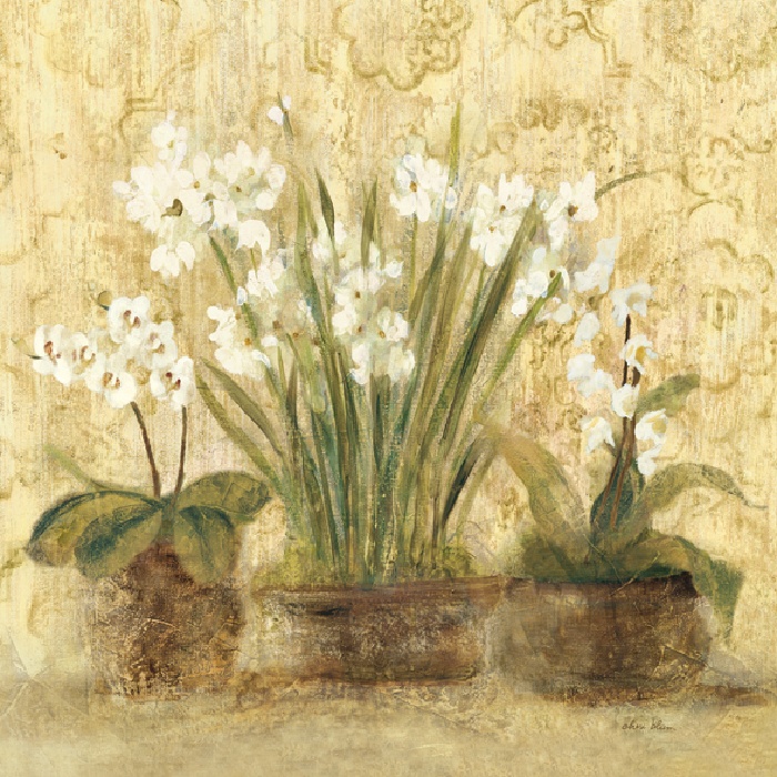 Esprit Narcissus and Orchid