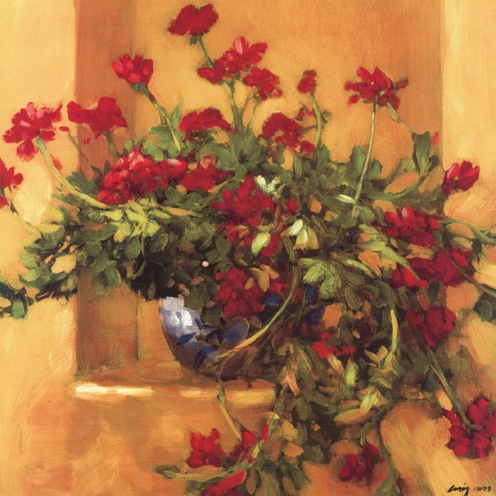 Ivy Geraniums