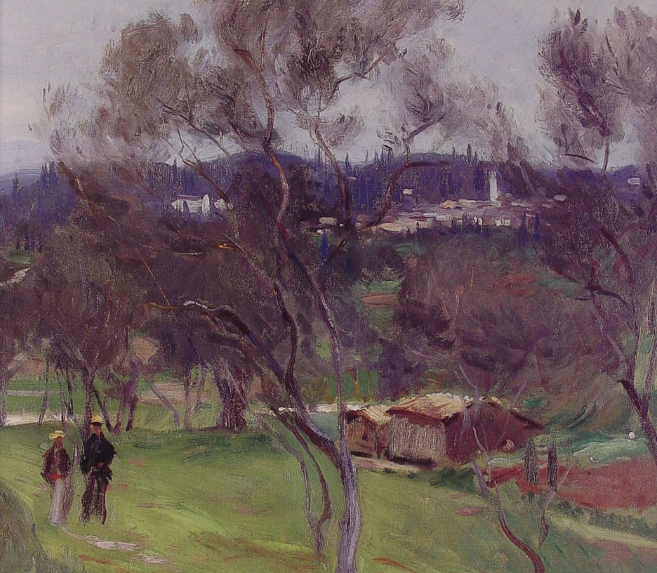 Olive Trees Corfu