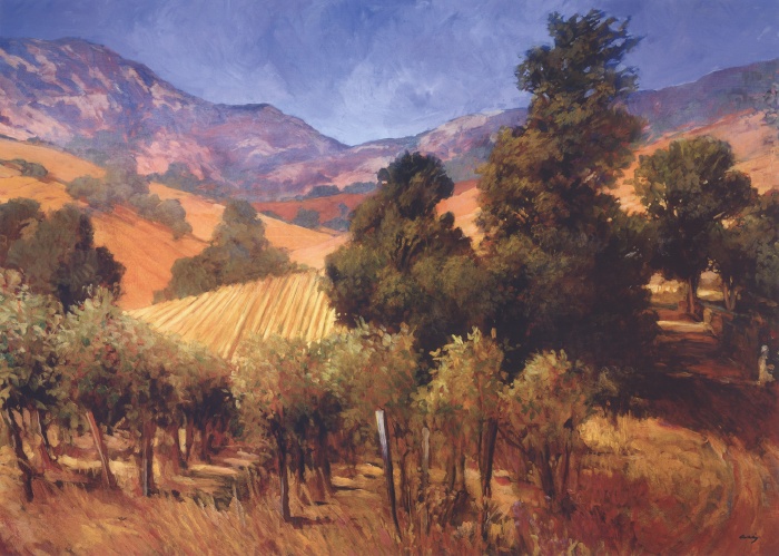 Southern Vineyard Hills