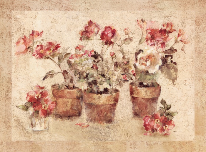 Potted Roses II