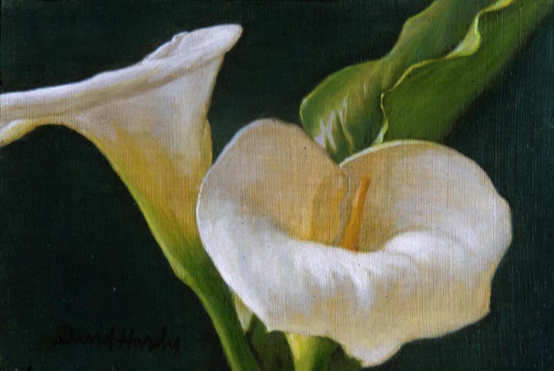 Calla Lily Duo