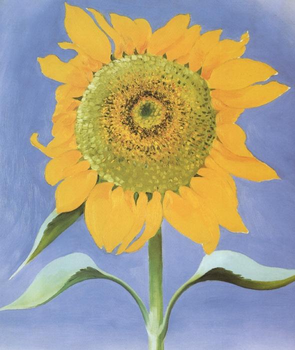 Sunflower, New Mexico 1935