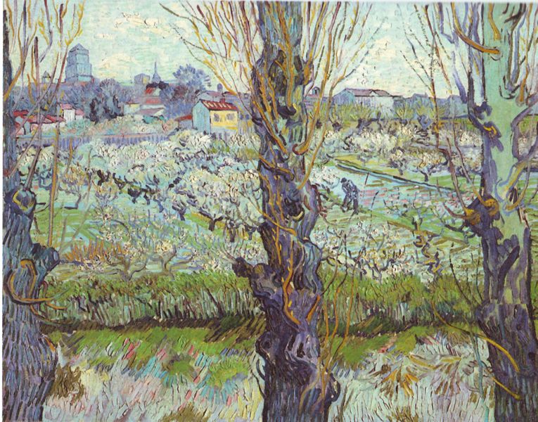 View of Arles Flowering Orchards