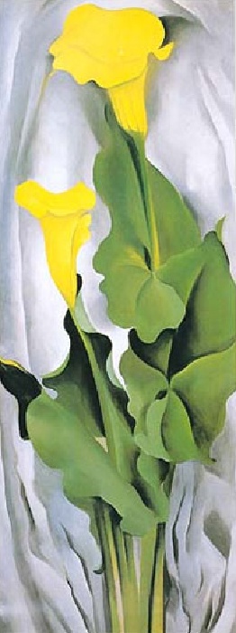 Yellow Calla Lily