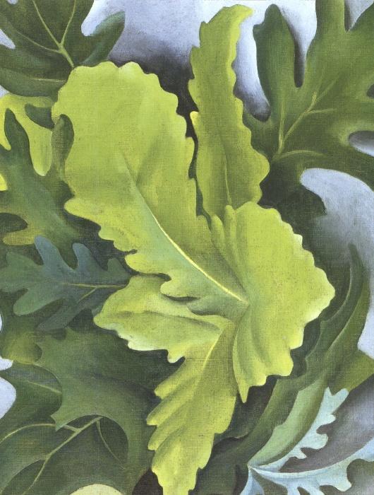 Green Oak Leaves