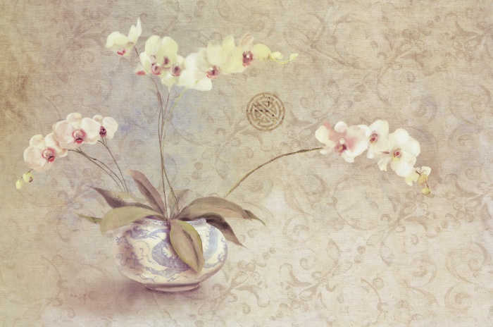 Orchids in a Porcelain Bowl