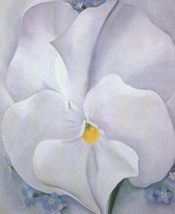 White Pansy