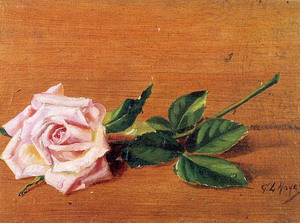 Rose 1887