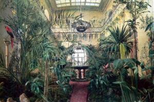 Winter garden at St.Petersburg