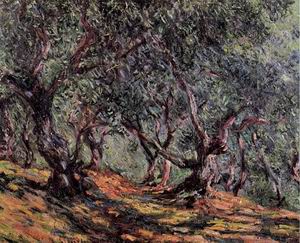 Olive Trees in Bordighera 1884