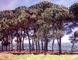 Pine Trees Cap dAntibes 1888