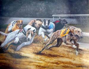 Racing dogs I